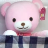 Hai HNR, a manufacturer and wholesaler of popular electric plush toys and face-covering bear dolls Specification image